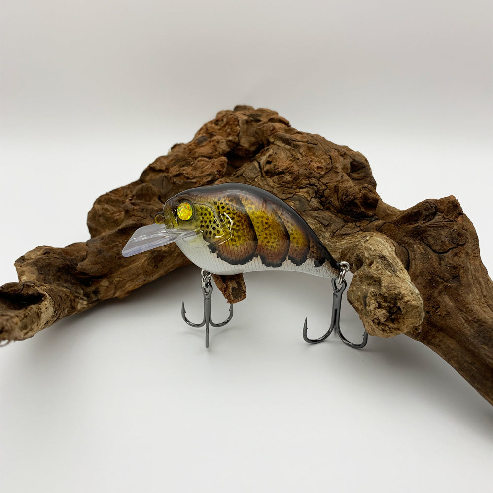 Fishing Lure 1.5 S Crank Type KO Craw Root Beer Gold Crankbait  1.5 Square Bill Lure  1/2 oz.  2-3/5″ Length  Shallow Diving Depth 1′-5′  Floating Lure  Rattling  Hyper Wire Stainless Split Rings  4X Strong Short Shank Black Nickel Hooks  Similar to the Megabass 1.5 Square Bill