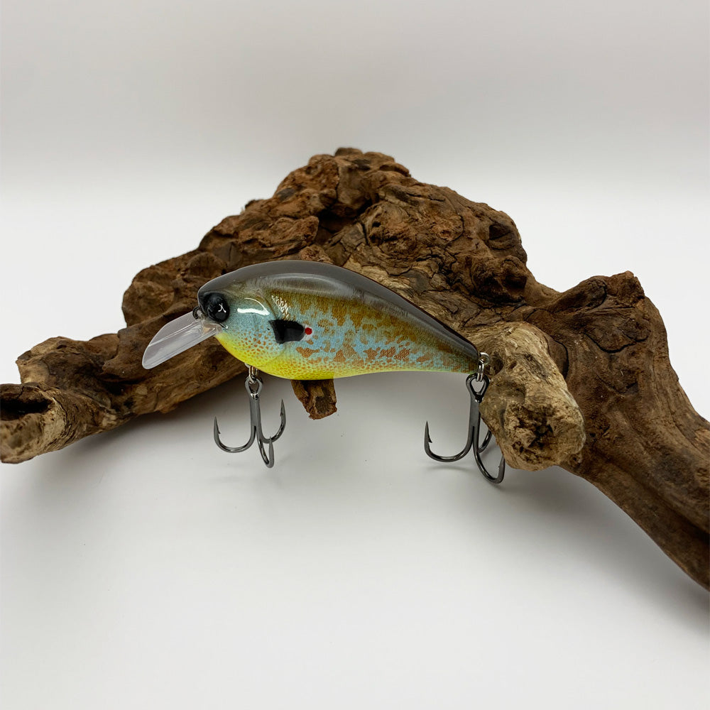 Fishing Lure 2.5 Square Bill Type KO Bluegill Pumpkin Crankbait 2.5 Square Bill Lure  5/8 oz.  2-3/4″ Length  Shallow Diving Depth 1′-4′  Floating Lure  Rattling  Hyper Wire Stainless Split Rings  4X Strong Short Shank Black Nickel Hooks  Similar to the Lucky Craft 2.5 Square Bill