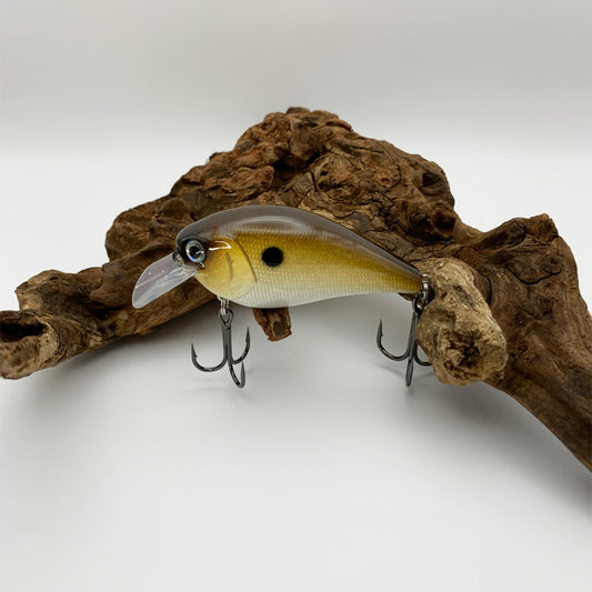 Fishing Lure 2.5 Square Bill Type KO Gold Shad Crankbait 2.5 Square Bill Lure  5/8 oz.  2-3/4″ Length  Shallow Diving Depth 1′-4′  Floating Lure  Rattling  Hyper Wire Stainless Split Rings  4X Strong Short Shank Black Nickel Hooks  Similar to the Lucky Craft 2.5 Square Bill